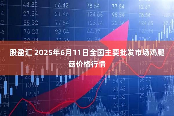 股盈汇 2025年6月11日全国主要批发市场鸡腿菇价格行情