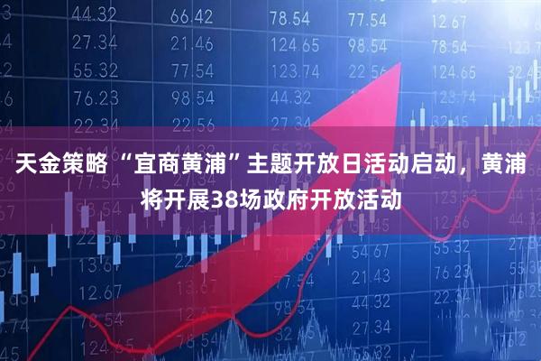 天金策略 “宜商黄浦”主题开放日活动启动，黄浦将开展38场政府开放活动