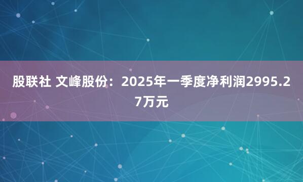 股联社 文峰股份：2025年一季度净利润2995.27万元